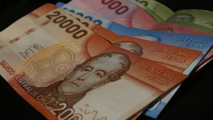 Aumento de la Pensión Garantizada Universal a $224.004 desde febrero 2025.