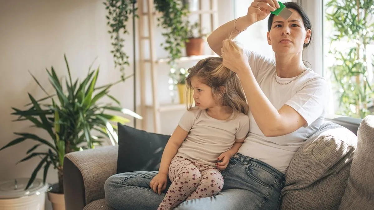 Piojos: un problema recurrente en espacios compartidos, ¿cómo prevenir su contagio?