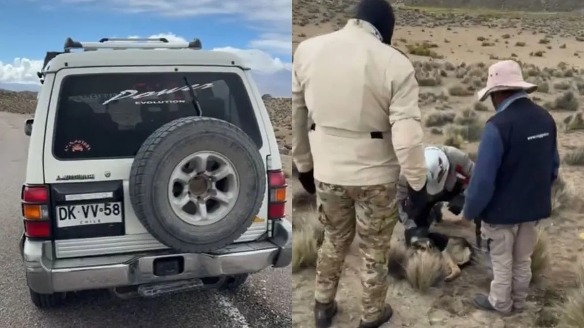 Nuevo caso de maltrato animal en Putre genera indignación: un perro arrastrado por su dueño en video viral