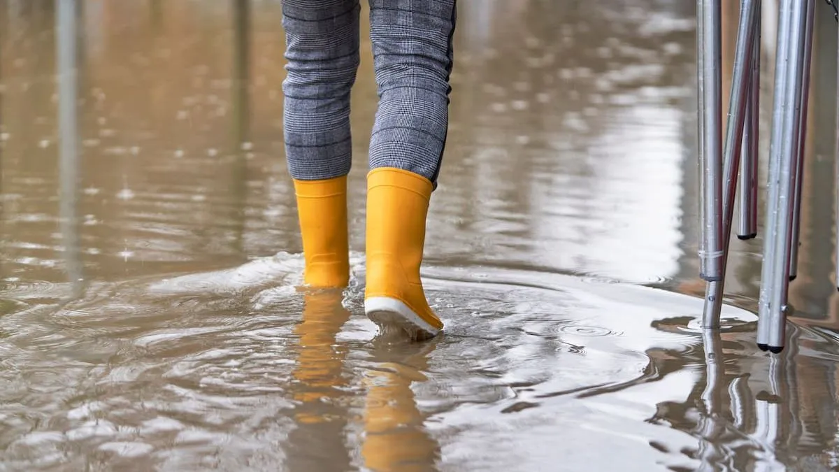 Un río atmosférico: fenómeno que traerá un nuevo sistema frontal a Chile.