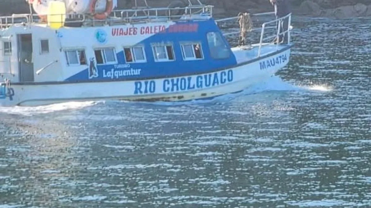 Naufragio del Río Cholhuaco en Los Lagos deja dos muertos y siete desaparecidos en medio de un operativo de rescate