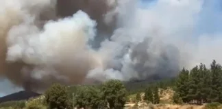 Incendio en San Javier: 1.200 hectáreas devastadas y viviendas afectadas.