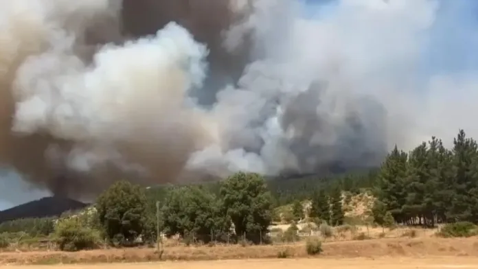 Incendio en San Javier: 1.200 hectáreas devastadas y viviendas afectadas.