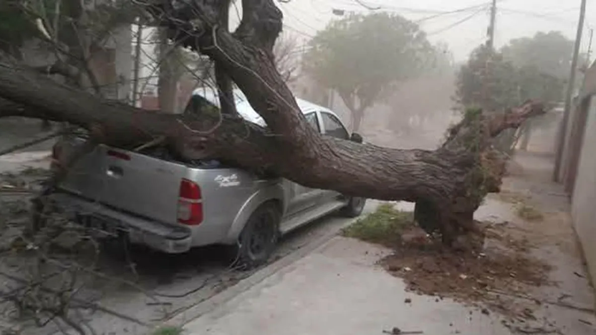 Fuerte temporal en San Luis: destrozos