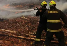 Evacuación en Rancagua por incendio forestal que amenaza zonas pobladas.