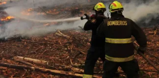 Evacuación en Rancagua por incendio forestal que amenaza zonas pobladas.