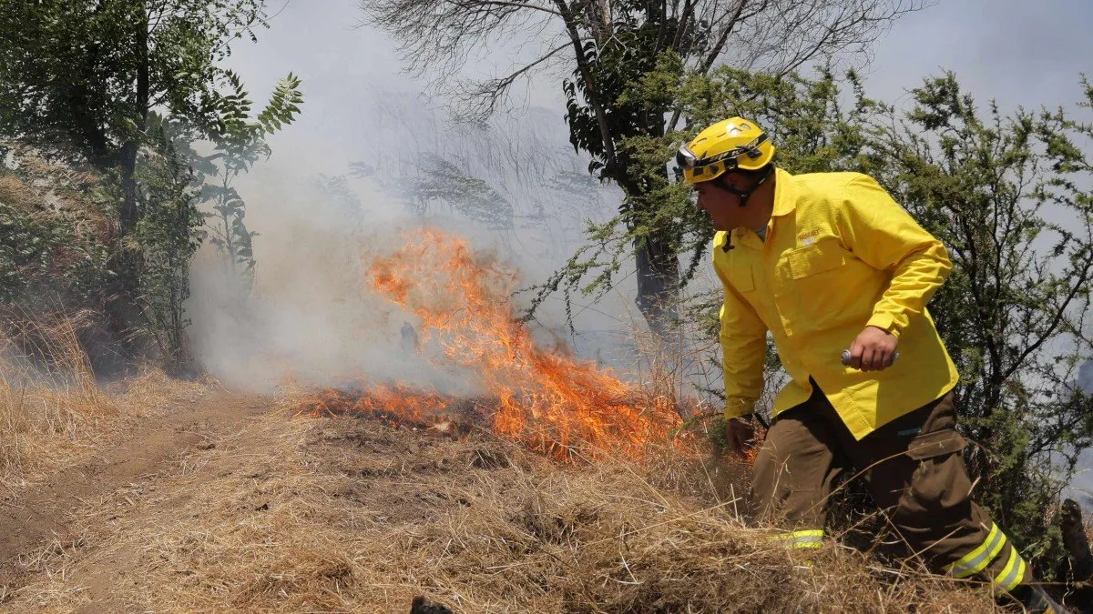 Senapred declara Alerta Roja en Coinco por incendio forestal: ¿qué medidas se están tomando?