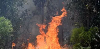 Alerta roja en Talagante por incendio que amenaza viviendas y deja un herido.