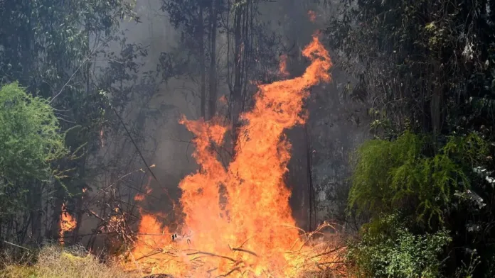 Alerta roja en Talagante por incendio que amenaza viviendas y deja un herido.