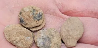 Descubren 160 monedas asmoneas de 2.100 años en el valle del Jordán.