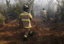 Alerta Roja en Talagante cancelada tras controlar incendio forestal cercano a viviendas.