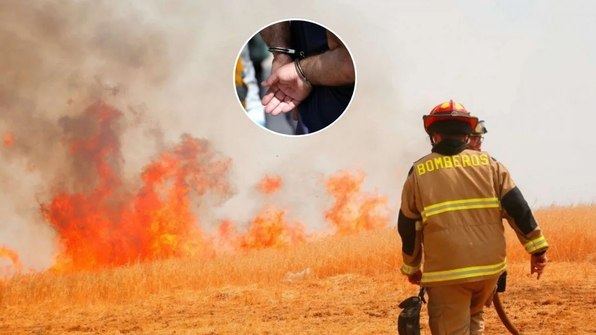 Detenido por incendio forestal en Talagante: trabajador agrícola en labores de arado.