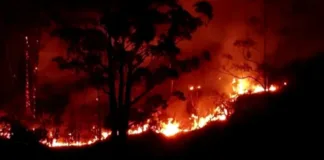 Detenido por incendio en Talagante tras autodenuncia por uso de galletera.