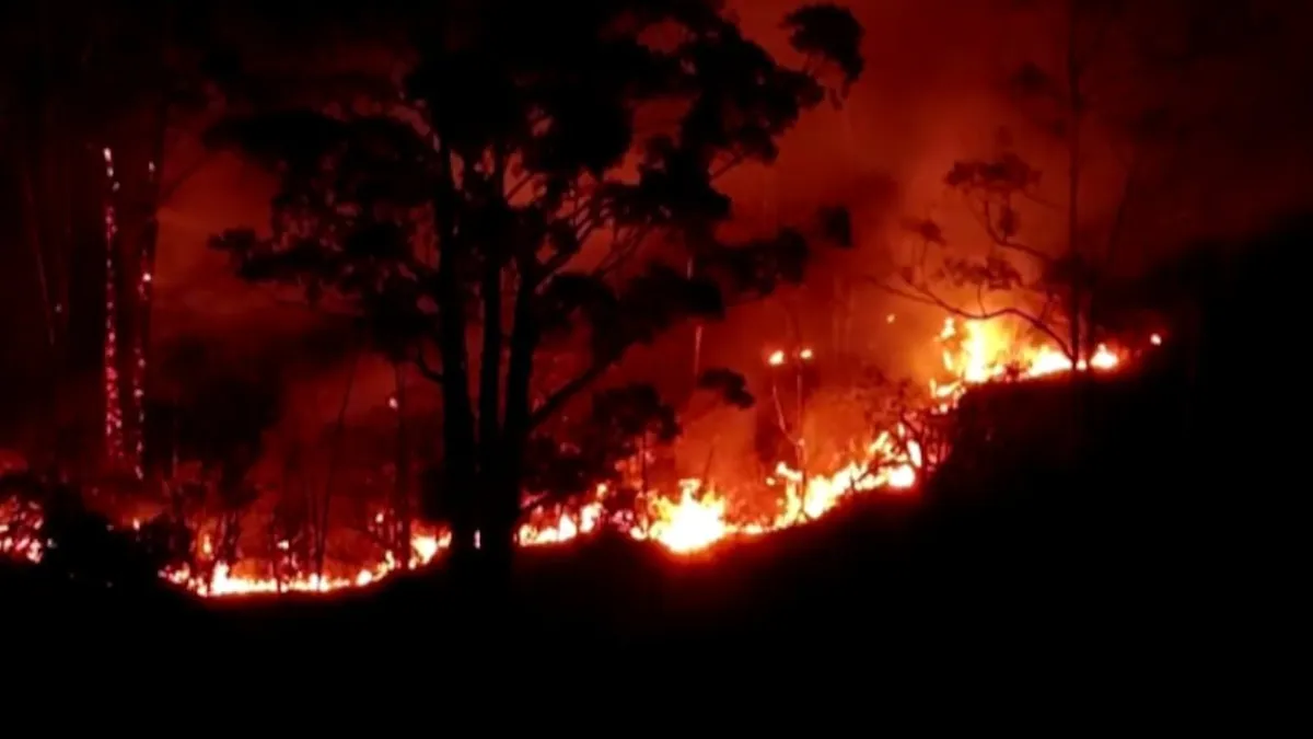 Detenido por incendio en Talagante tras autodenuncia por uso de galletera.