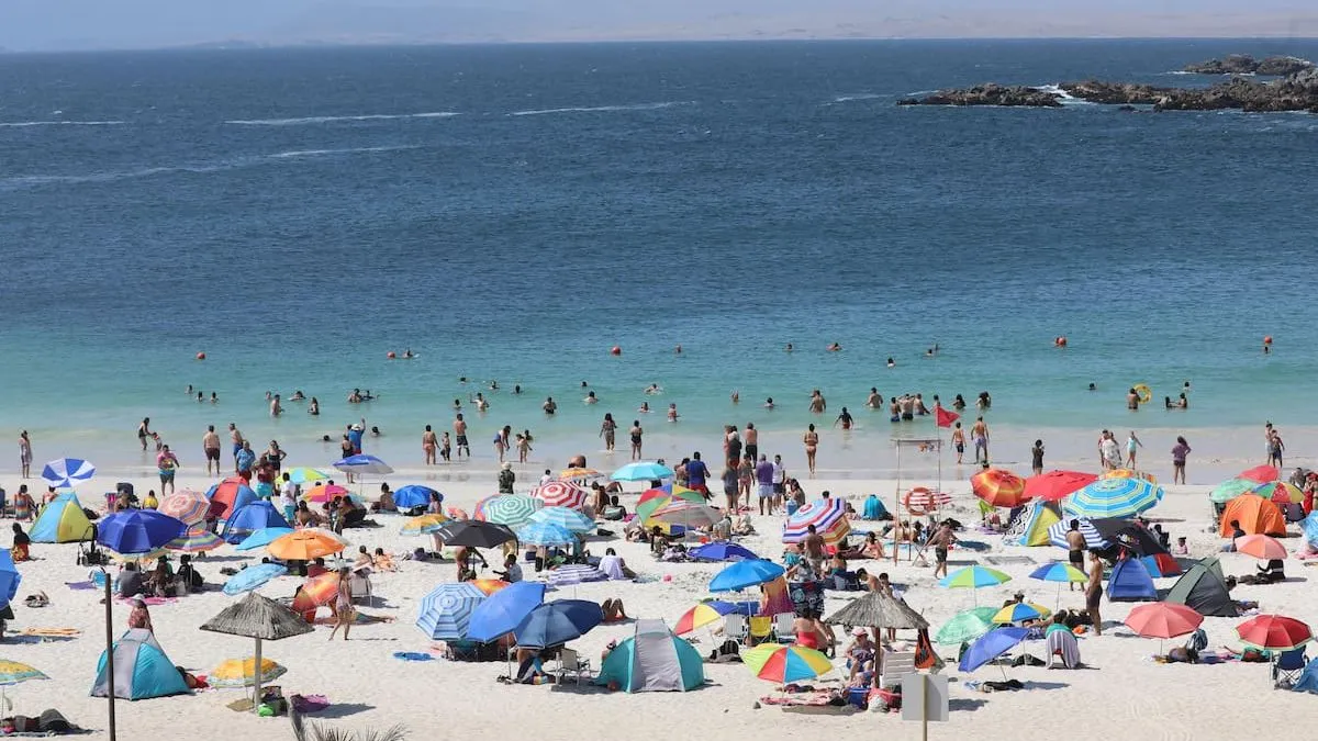 Controversia por trenzas playeras en Chile: ¿recuerdo veraniego o riesgo para el cabello?