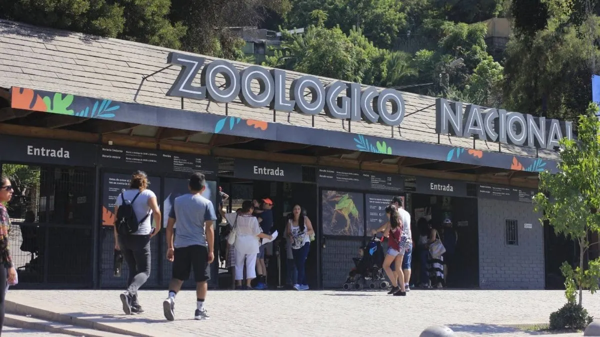 Evacuación en el zoológico tras incidente en la jaula de chimpancés.