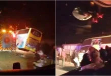 Trágico accidente en Ruta 5 Sur: bus de pasajeros y camión colisionan