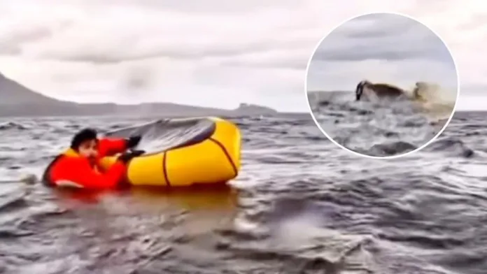 Increíble relato de un kayakista que sobrevivió a ser tragado por una ballena.