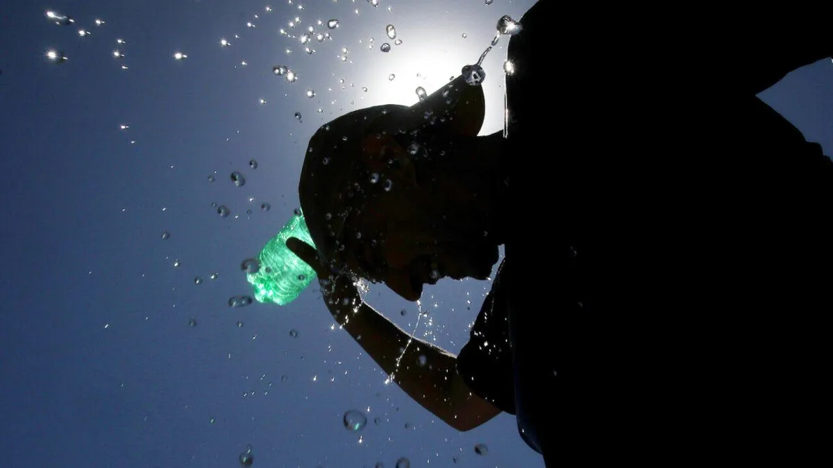 Ola de calor sin precedentes en Chile provoca incendios forestales y temperaturas récord de hasta 42,2°