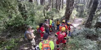 Rescatados con vida: 3 adultos mayores y su guía en el Parque Nacional Alerce Costero.