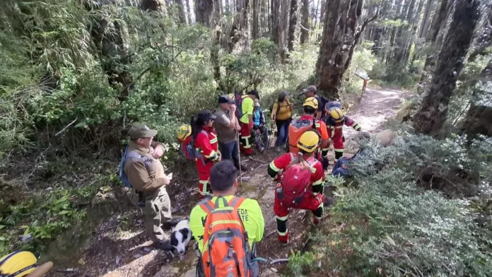 Rescatados con vida: 3 adultos mayores y su guía en el Parque Nacional Alerce Costero.