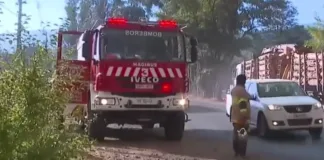 Purén bajo llamas: evacuaciones en 7 sectores por intensos incendios forestales.