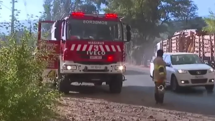 Purén bajo llamas: evacuaciones en 7 sectores por intensos incendios forestales.