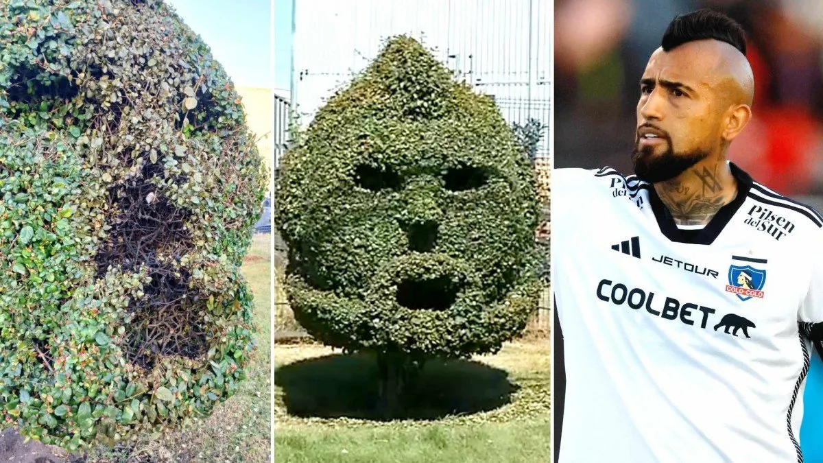 Vandalizan obra homenaje a Arturo Vidal en Talcahuano, jardineros expresan su tristeza por el ataque