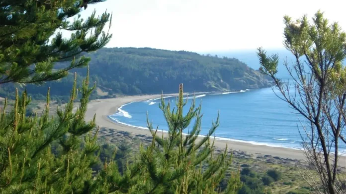 Terrenos en la costa chilena: lujo y alta demanda en el mercado inmobiliario.