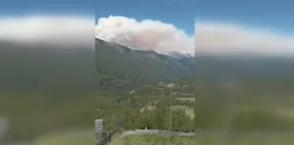 Megaincendio en Argentina: Conaf se prepara para combatir el fuego en la frontera.