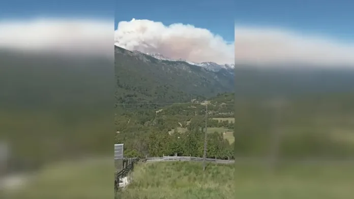 Megaincendio en Argentina: Conaf se prepara para combatir el fuego en la frontera.