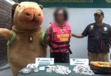 Un policía peruano captura a un narcotraficante disfrazado de 'Capibara del Amor'.