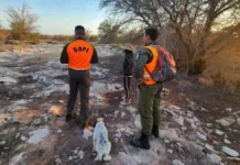 Rescatan a niño de 2 años perdido en Pozo Almonte mientras pastoreaba con su madre.