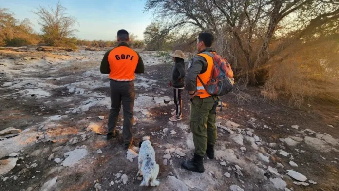 Rescatan a niño de 2 años perdido en Pozo Almonte mientras pastoreaba con su madre.