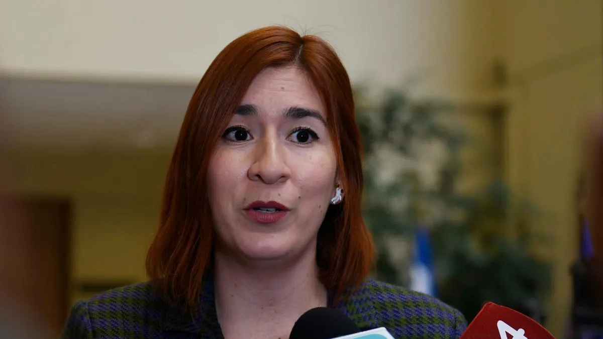 Corte de Apelaciones ratifica desafuero de diputada Catalina Pérez en medio de investigación por corrupción