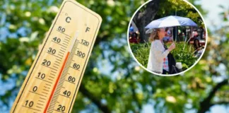 Pronóstico de temperaturas en la zona central hasta marzo: ¿seguirá el calor extremo?