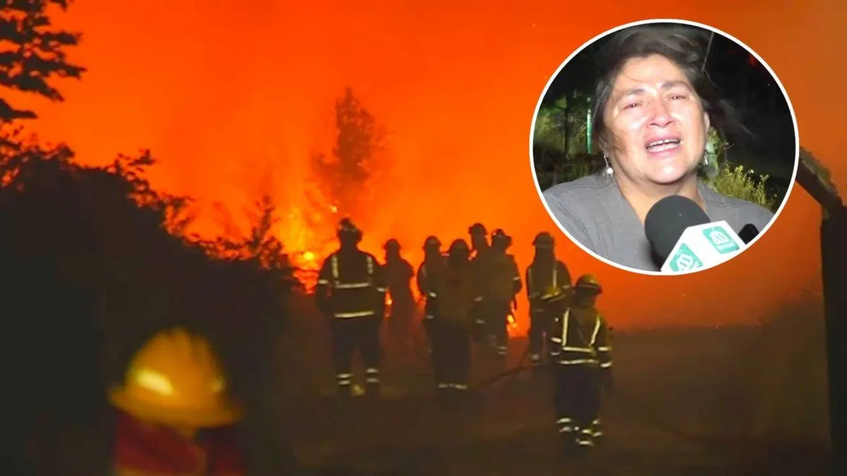 Incendios forestales arrasan Collipulli: 40 damnificados y 30 viviendas destruidas en La Araucanía