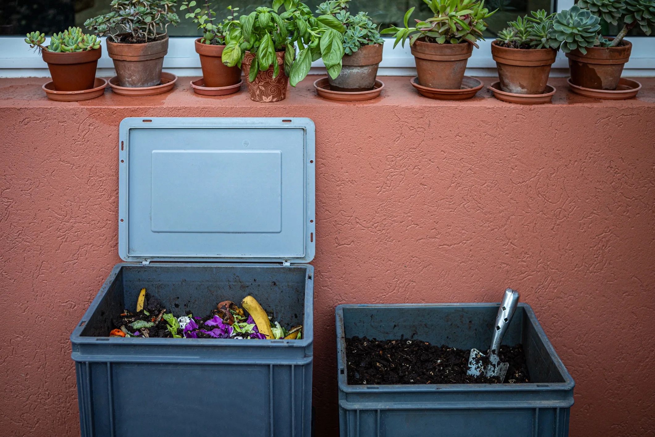 Productos compostables: la nueva tendencia del consumo sostenible frente a los plásticos de un solo uso