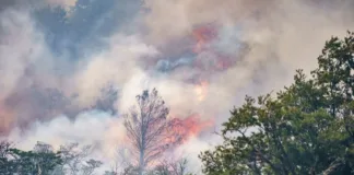 Conaf informa sobre el incendio en la Patagonia que afecta ambos lados de la frontera.