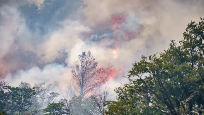 Conaf informa sobre el incendio en la Patagonia que afecta ambos lados de la frontera.