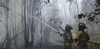 Una mujer de la tercera edad perdió la vida en un devastador incendio en Maule.