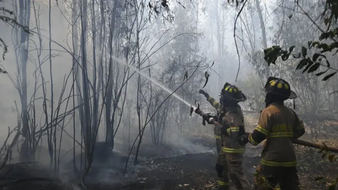 Una mujer de la tercera edad perdió la vida en un devastador incendio en Maule.