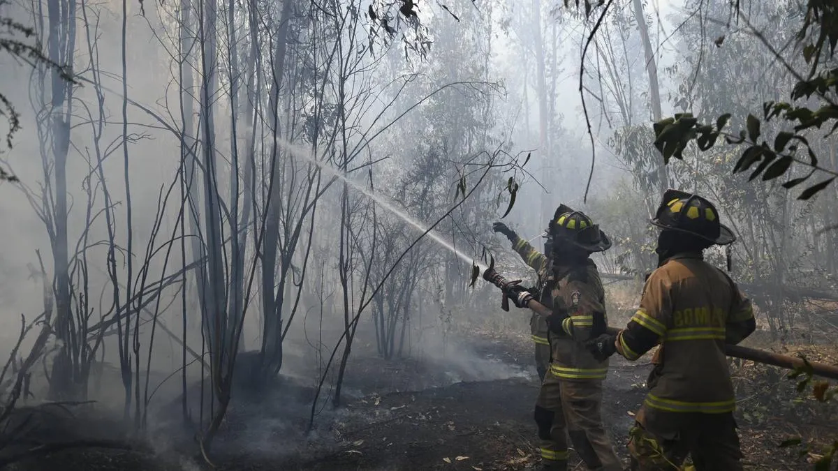 Una mujer de la tercera edad perdió la vida en un devastador incendio en Maule.