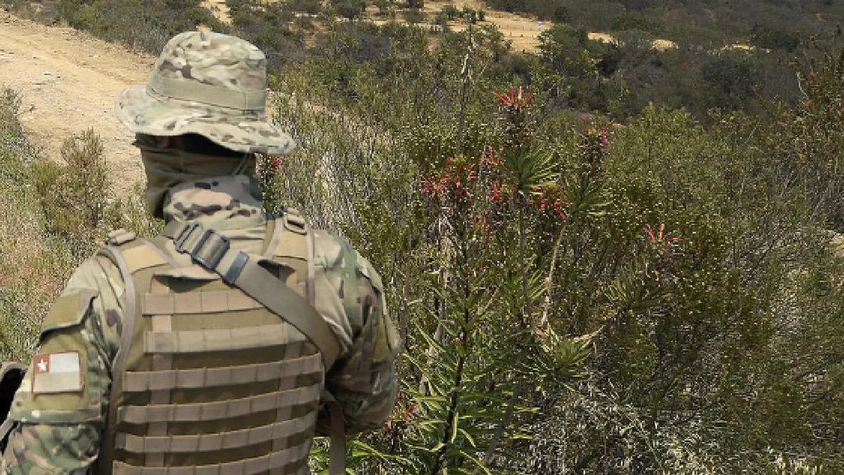 El Ejército apoyará en la seguridad durante el combate al incendio en Mulchén.