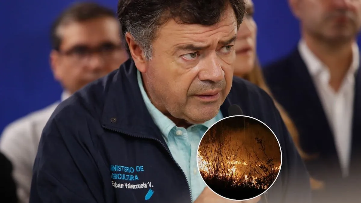 Incendios en La Araucanía: el Gobierno declara emergencia agrícola y coordina recursos.