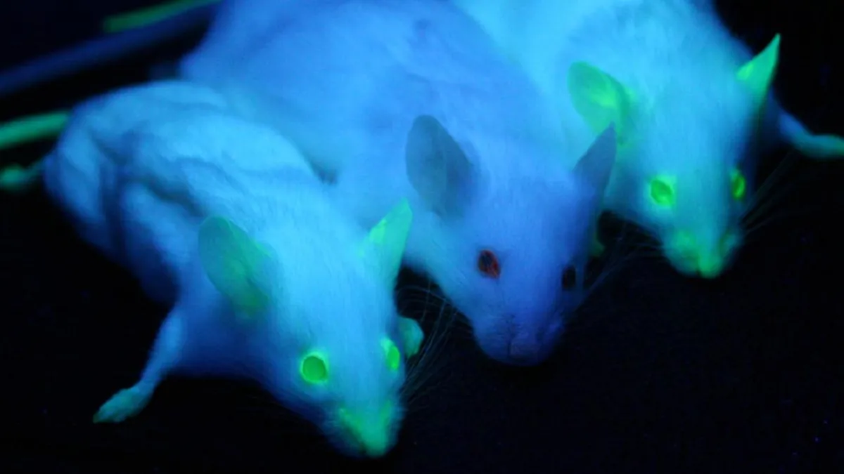 Revolución en biotecnología: IA de EvolutionaryScale crea nueva proteína en tiempo récord, desafiando la evolución natural