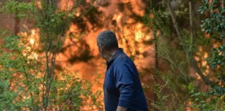 La Fiscalía investiga la tesis de Tohá sobre incendios y reivindicaciones de tierra.