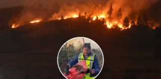 Alcalde de Galvarino denuncia líquido acelerante en áreas de incendios forestales.