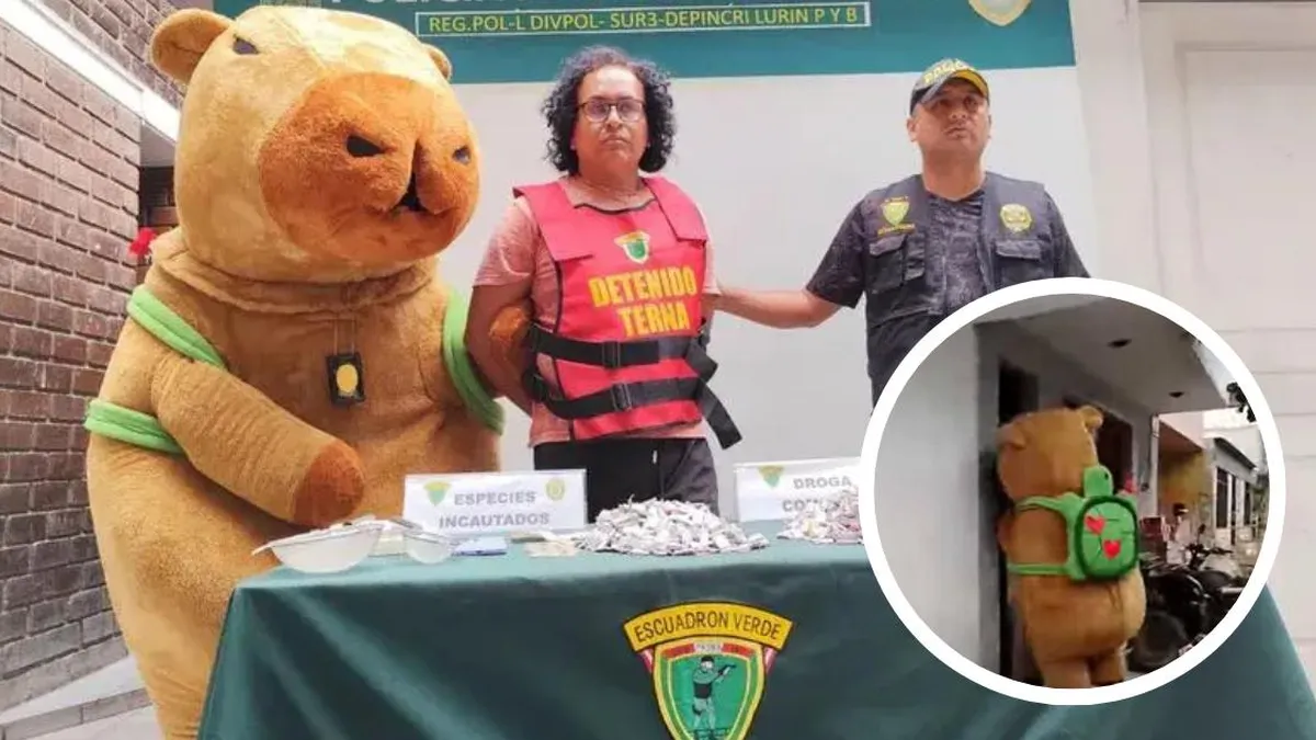 Agente encubierto disfrazado de capibara sorprende a microcomercializador de droga en Lima