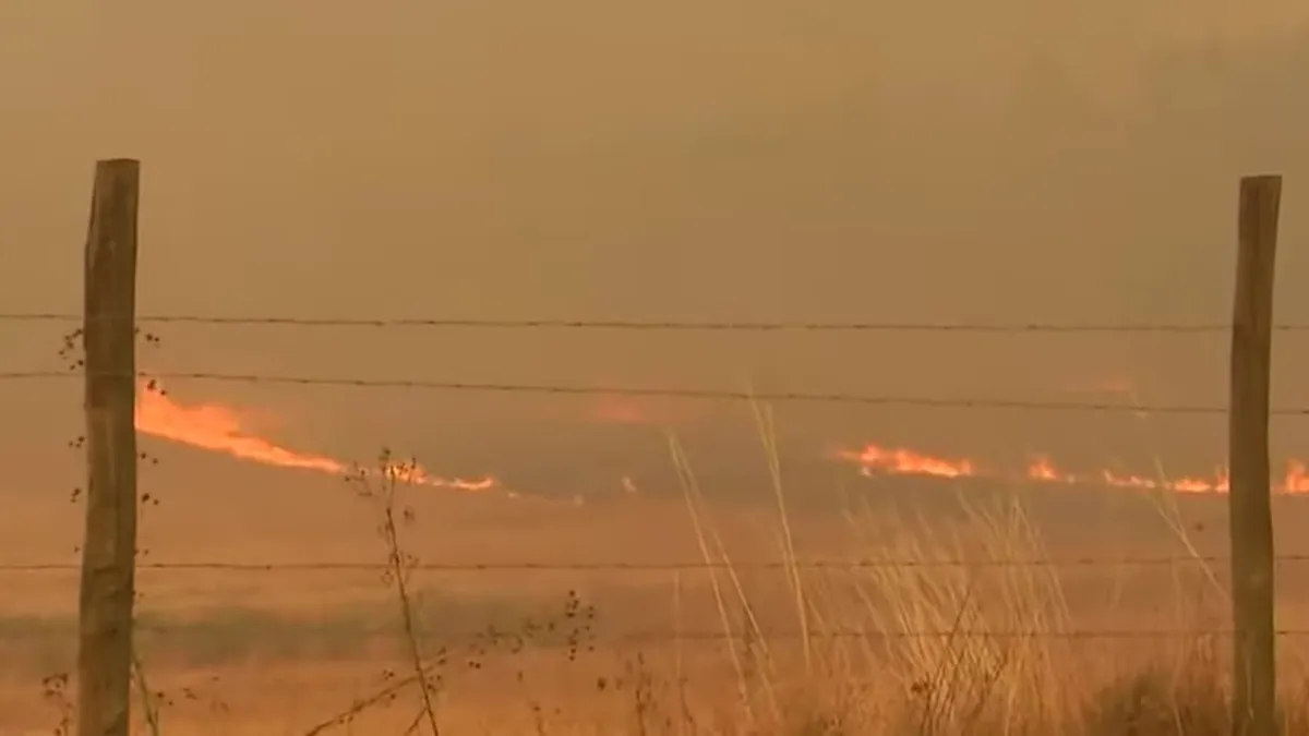 Incendios forestales: el 75% de las investigaciones judiciales no se resuelven.